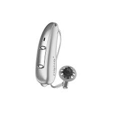 Receiver-in-the-ear (RITE) Hearing Aids